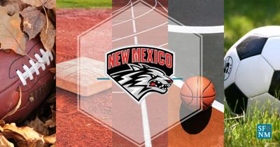 New Mexico Lobos logo secondary