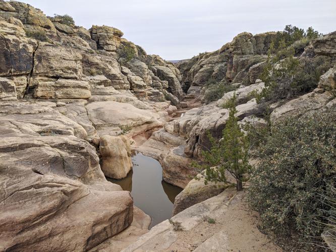 SanYsidroTrials2_RGB.jpg (copy)