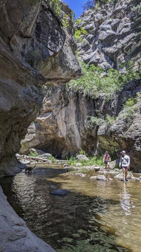 EastFork2.jpg (copy)