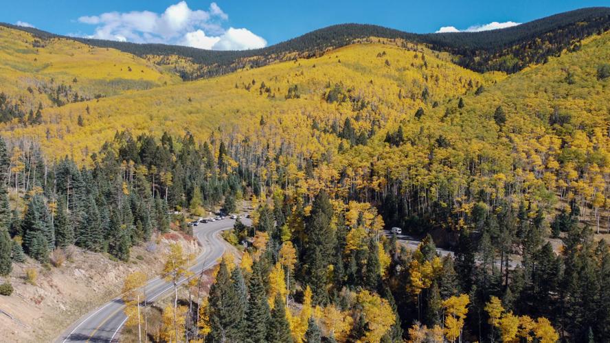 101023 ls leafpage 5.jpg (copy)