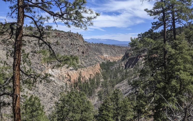 Alamo_Canyon.jpg (copy) (copy)