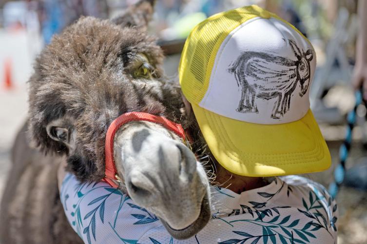 050325_MS_Burrow Races_009.jpg